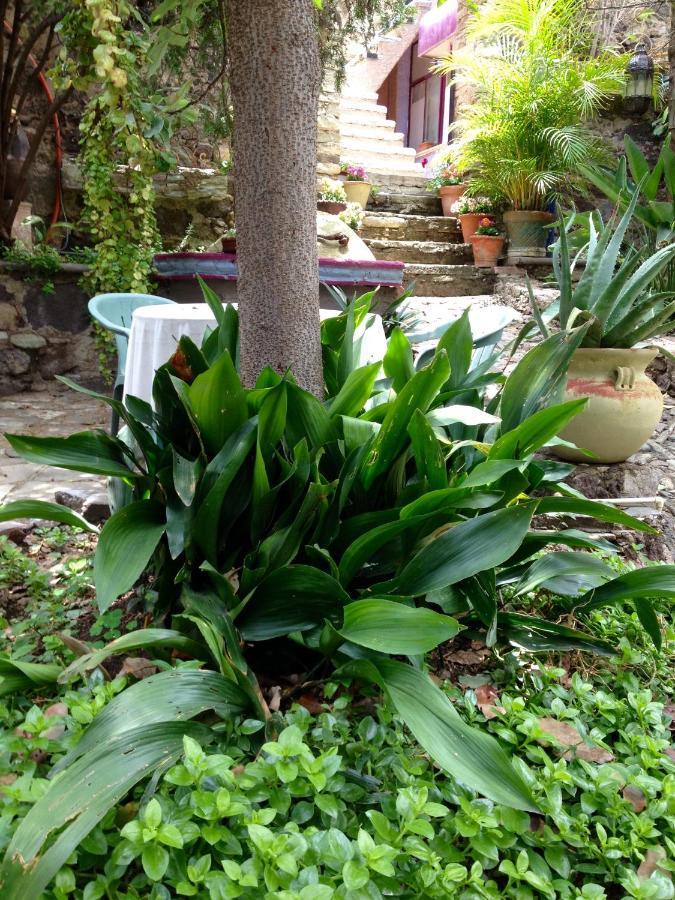 Ex Hacienda Daire Guanajuato Dış mekan fotoğraf