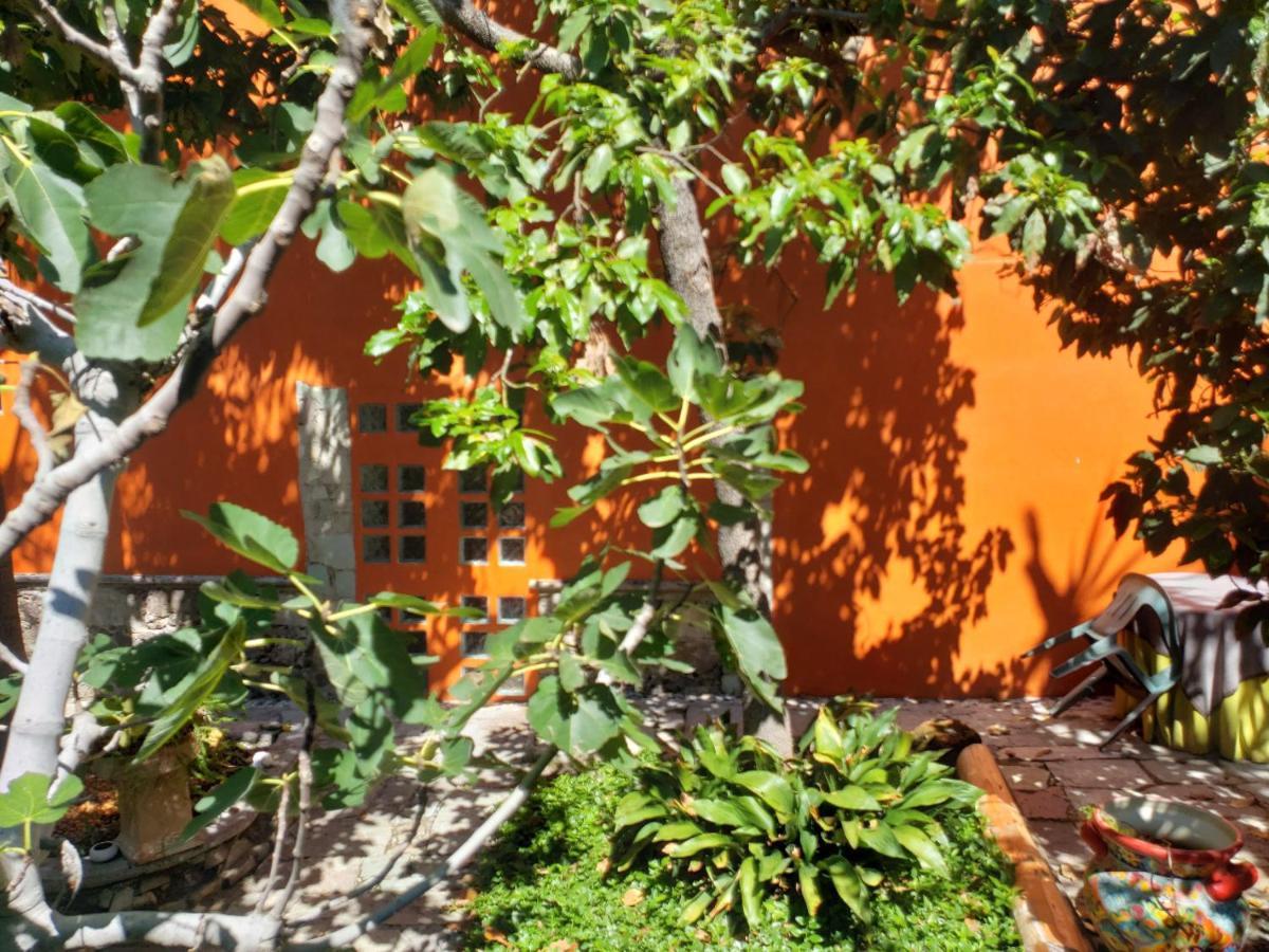 Ex Hacienda Daire Guanajuato Dış mekan fotoğraf