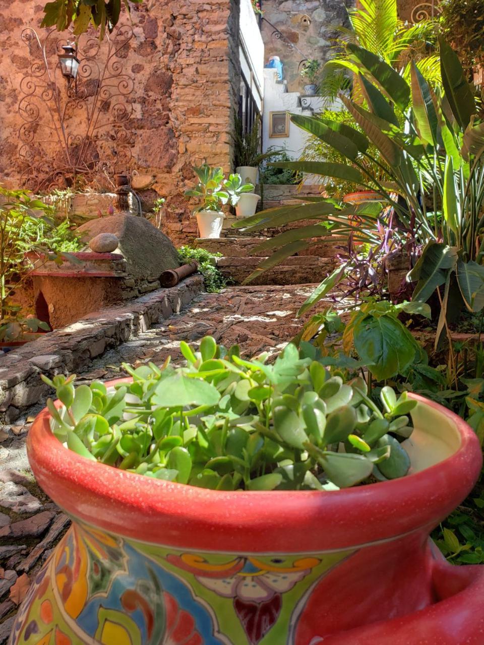 Ex Hacienda Daire Guanajuato Oda fotoğraf
